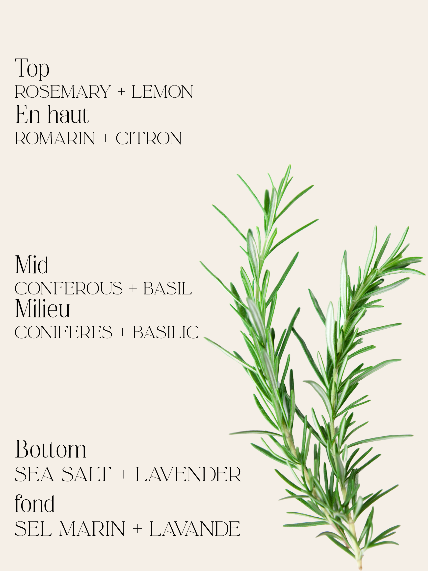 Bougie à mèche de bois - Romarin + Sel de mer