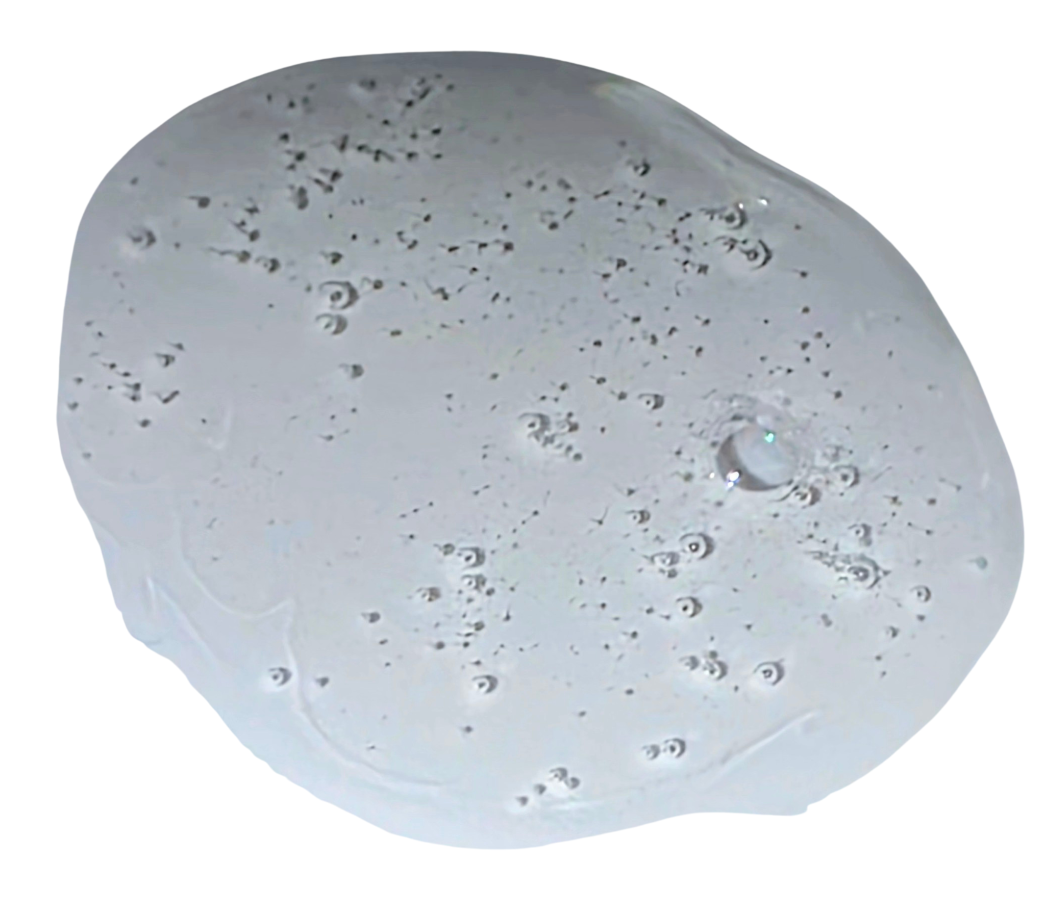 Gel douche — Camomille & Bergamote